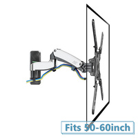 F500 Gas Strut Wall Mount